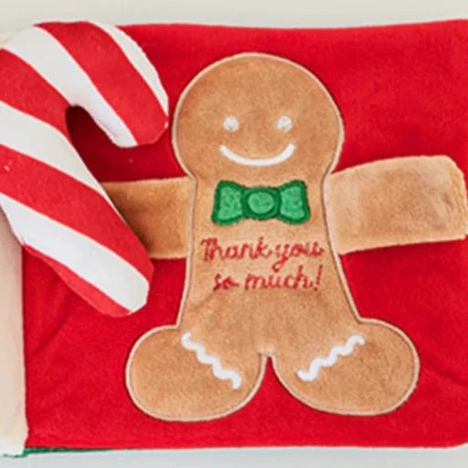 π Christmas Playbook Nosework Toy