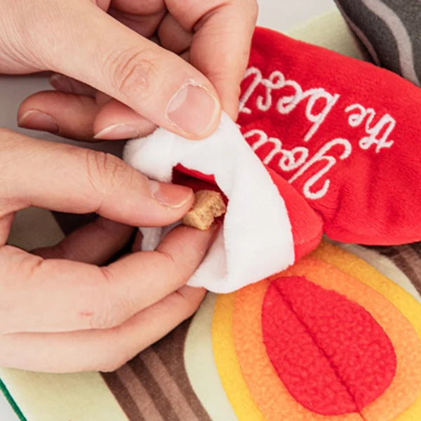 π Christmas Playbook Nosework Toy