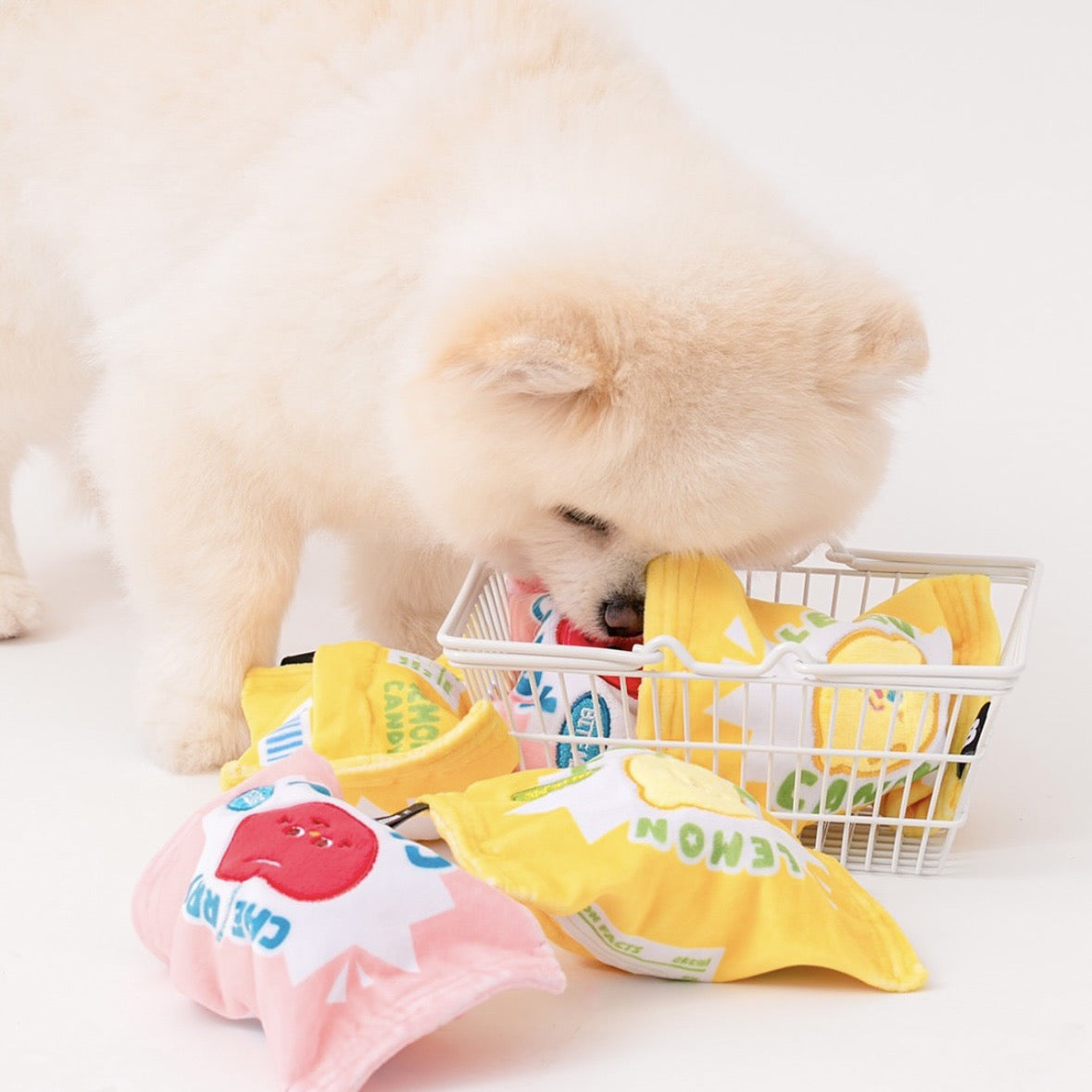 π Fruity Candy Squeaky Toy π