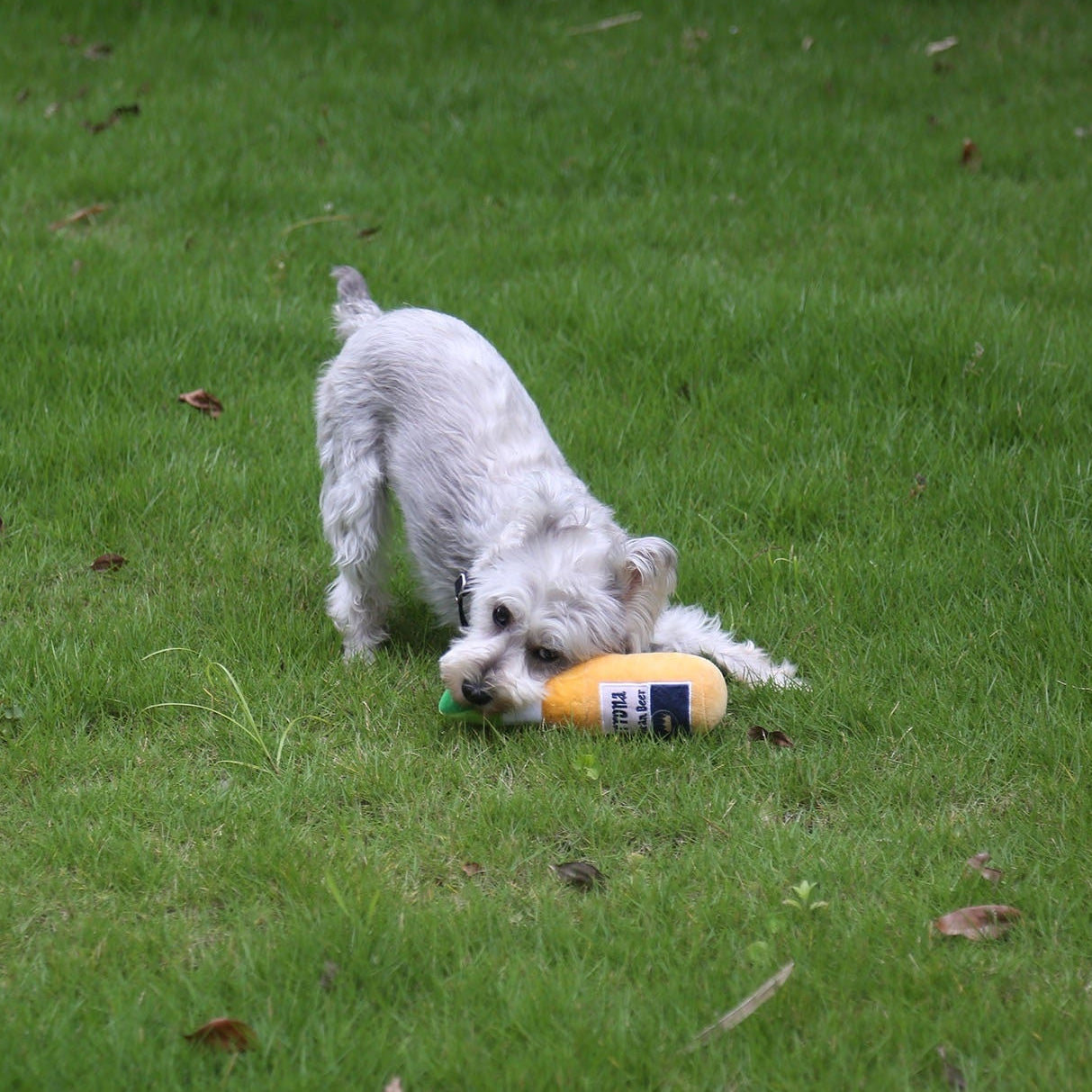 🍺Grrrona Beer Plush Dog Toy