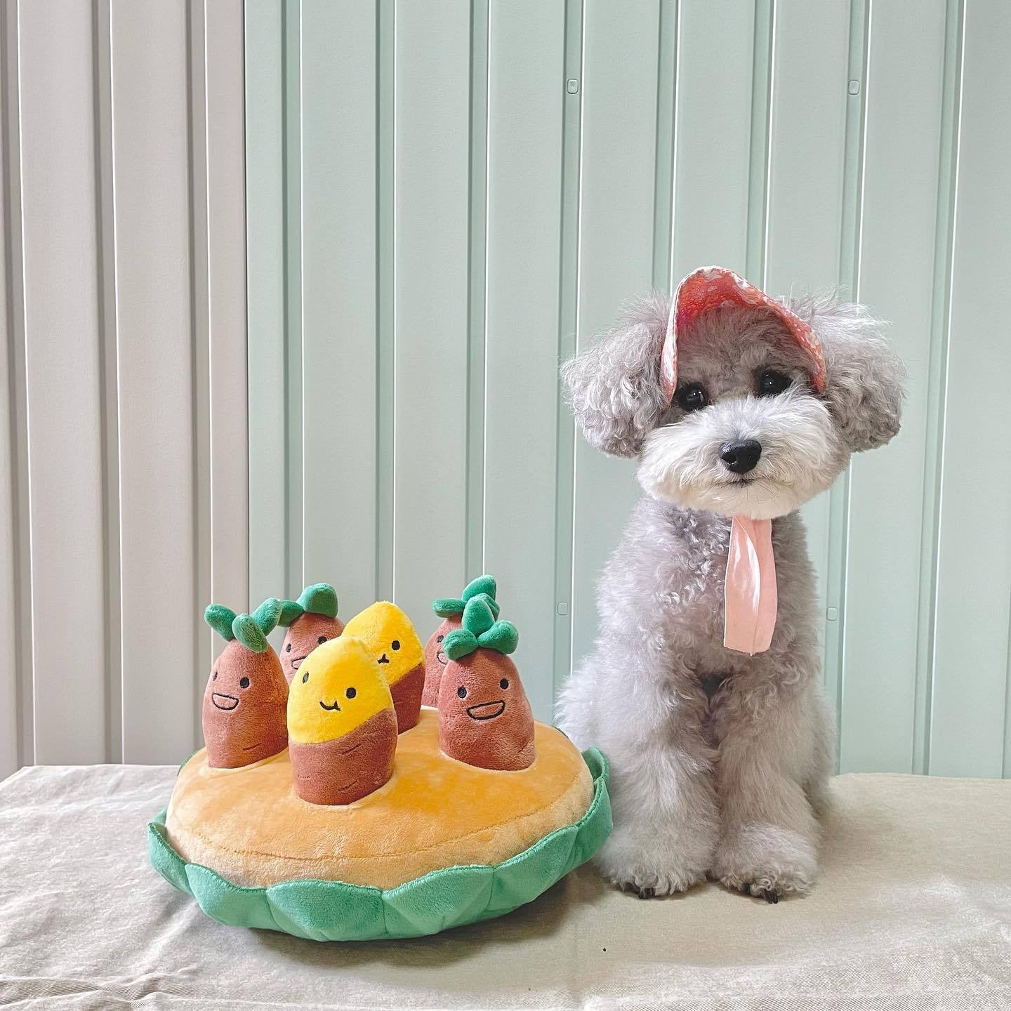 š Sweet Potato Crop Nosework Dog Toy