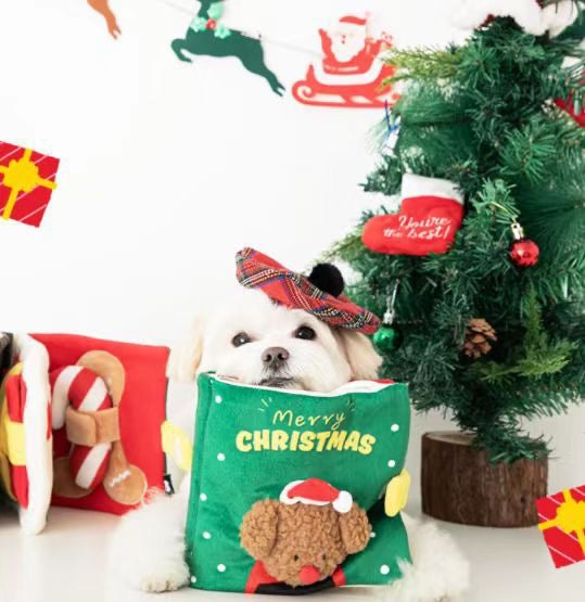π Christmas Playbook Nosework Toy
