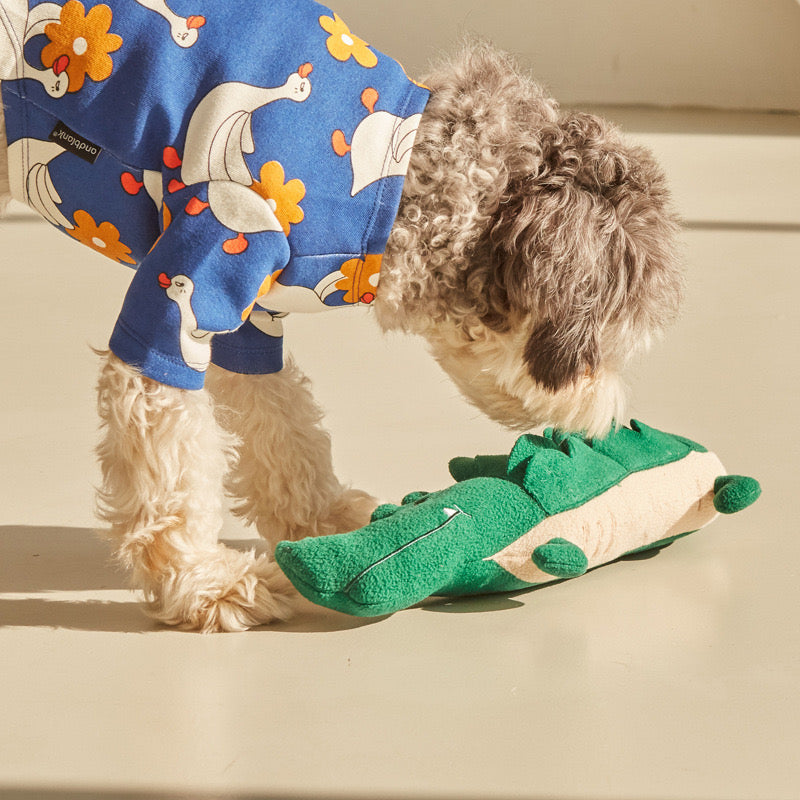 ๐ Lazy Crocodile Nosework Toy