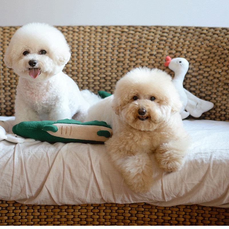 ๐ Lazy Crocodile Nosework Toy