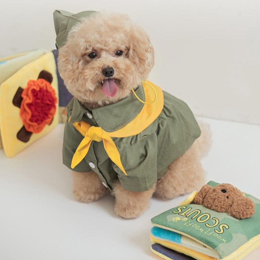 🪖 Scout Playbook Nosework Toy