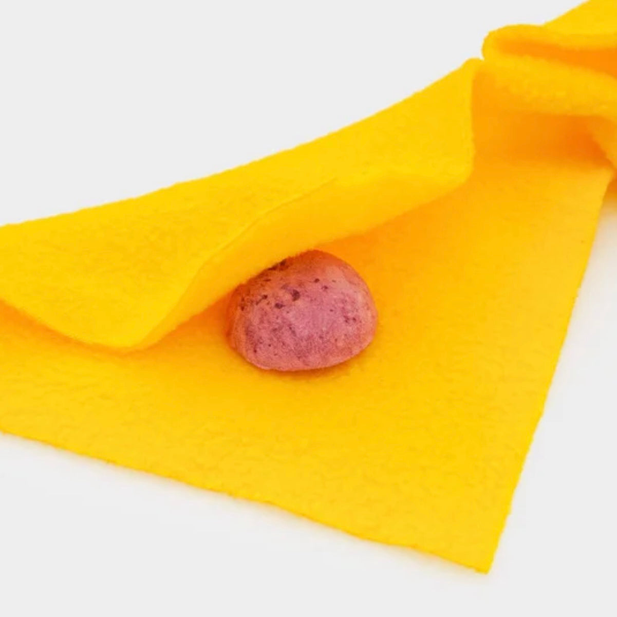 ๐ Juicy Hallabong Nosework Toy