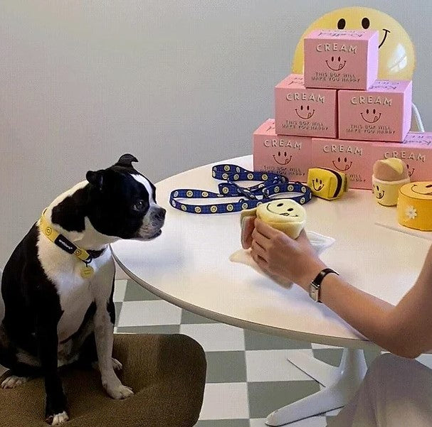 π Smile Cake Nosework Toy