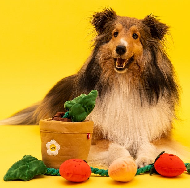 π Strawberry Tug Toy Set