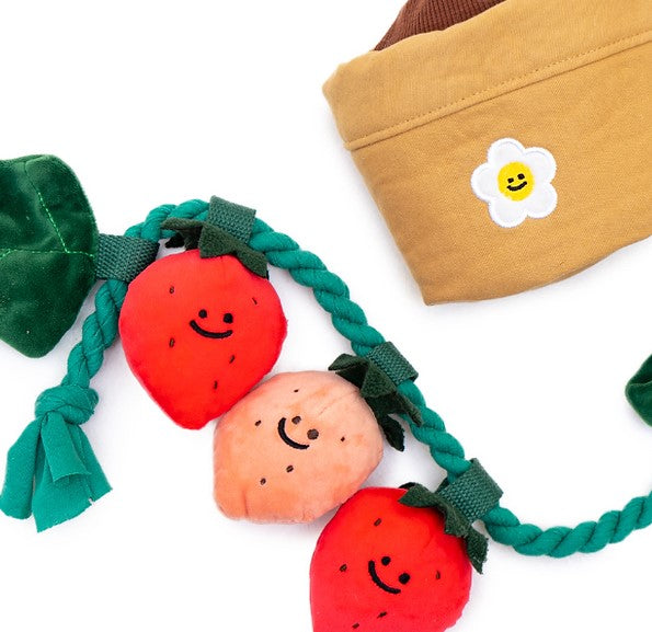 π Strawberry Tug Toy Set