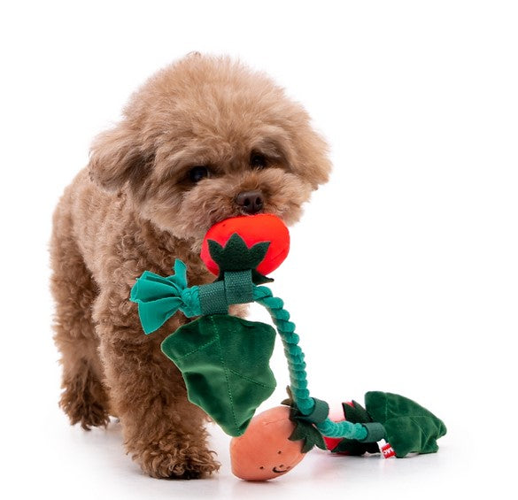 π Strawberry Tug Toy Set