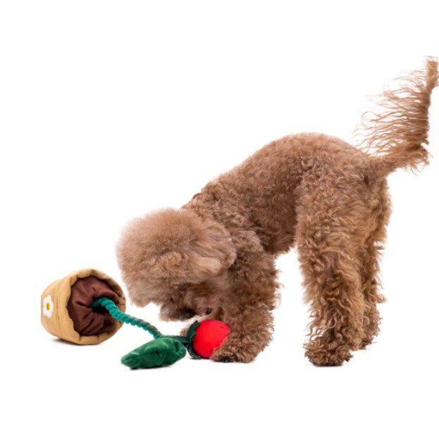 π Strawberry Tug Toy Set