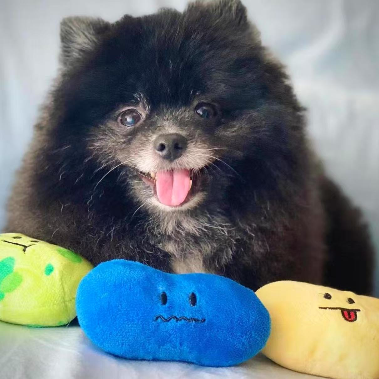 π¬ Jellybean Set Squeaky Hide-and-Seek Toy