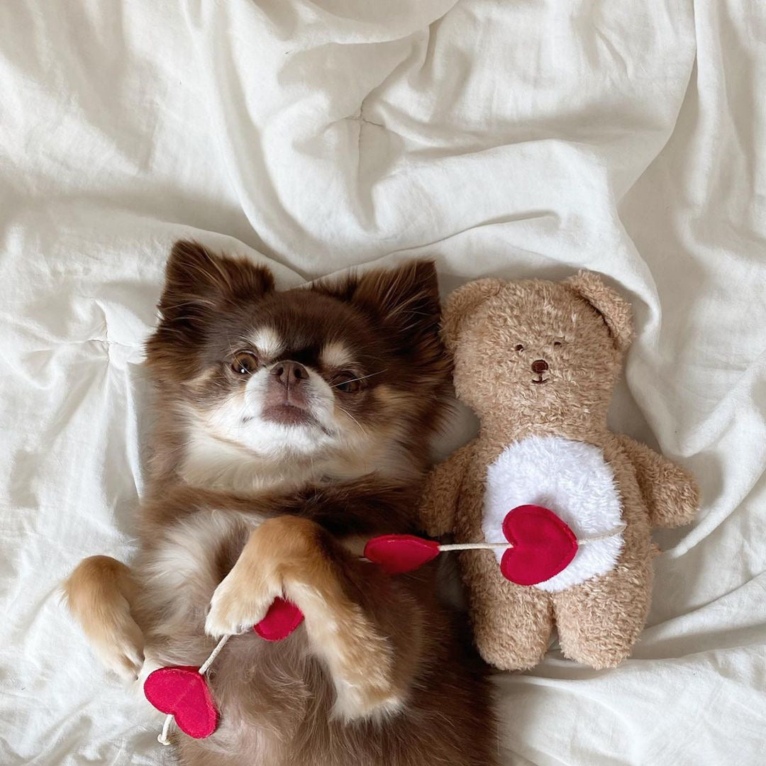 🧸 Heart-Shaped Bear Hide-and-Seek Cuddle Pillow Toy