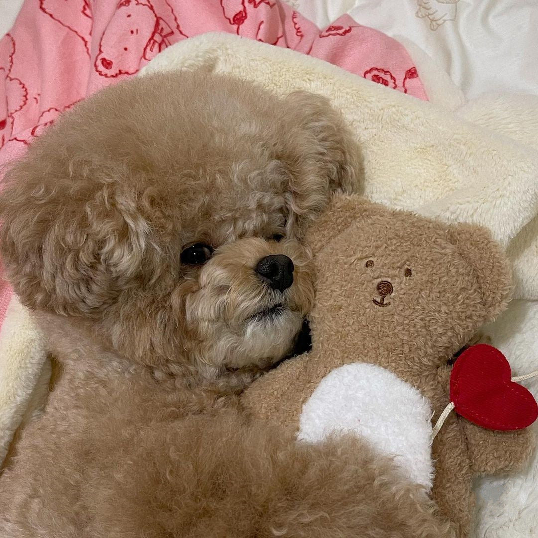 🧸 Heart-Shaped Bear Hide-and-Seek Cuddle Pillow Toy