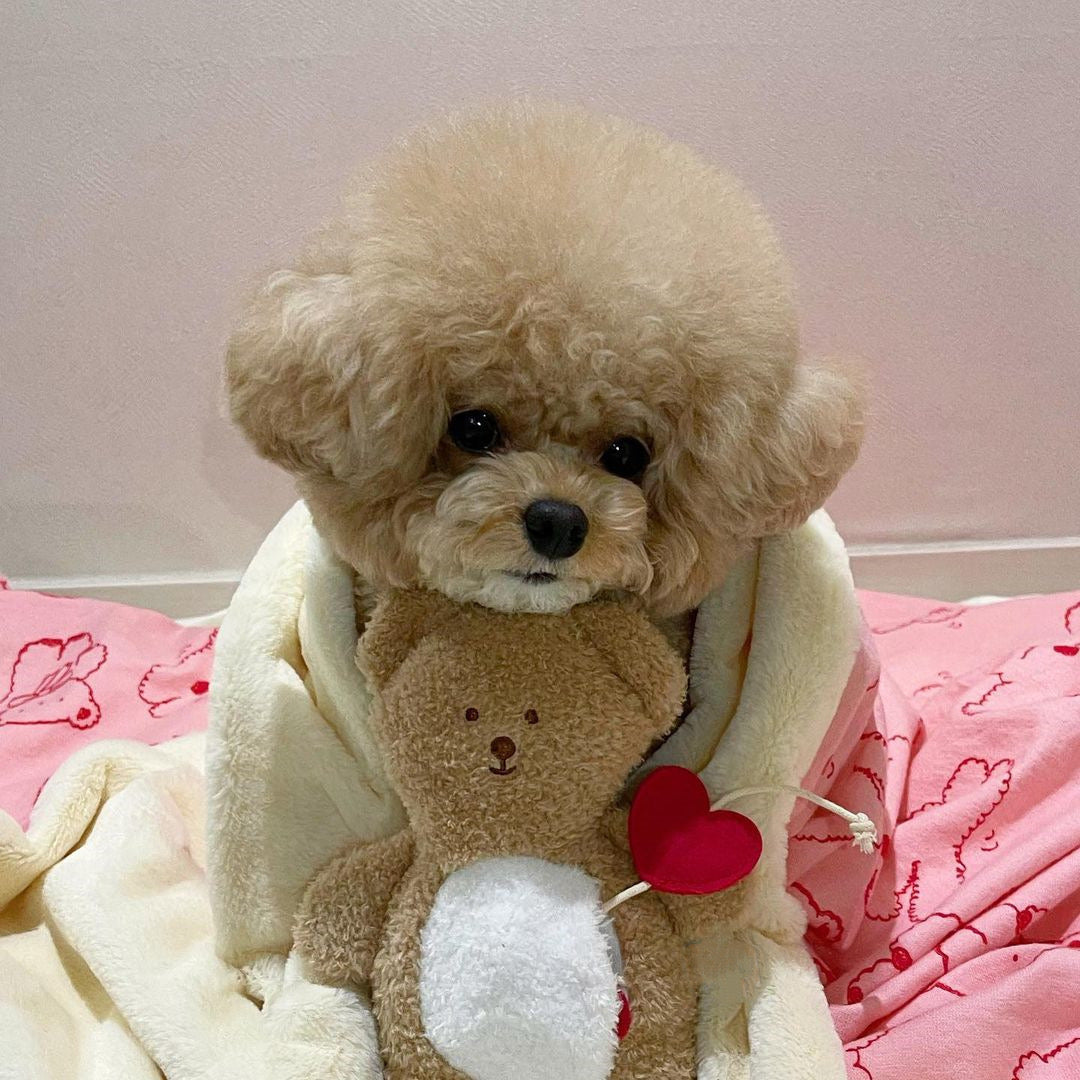 🧸 Heart-Shaped Bear Hide-and-Seek Cuddle Pillow Toy
