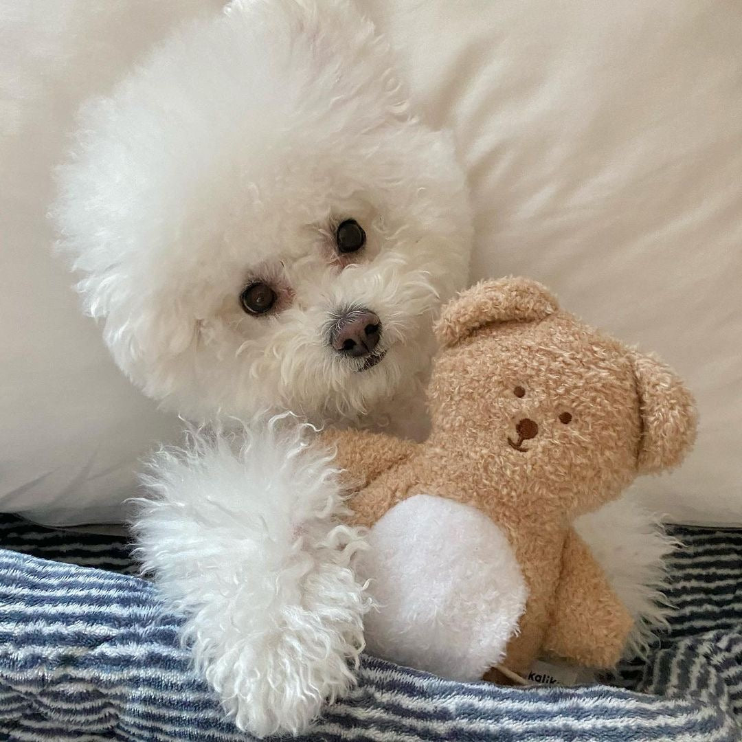 🧸 Heart-Shaped Bear Hide-and-Seek Cuddle Pillow Toy