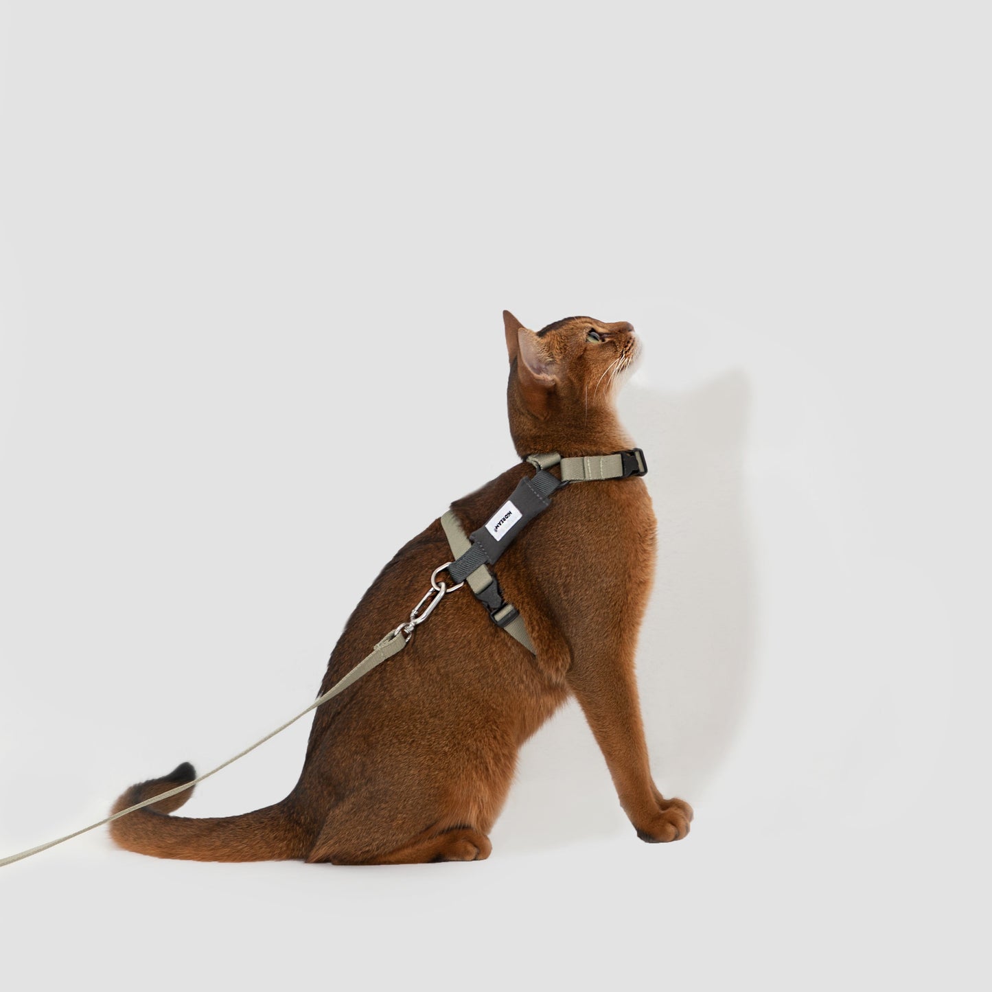 Valley Series Cat H-Shape Harness and Leash Set [Green with Gray]