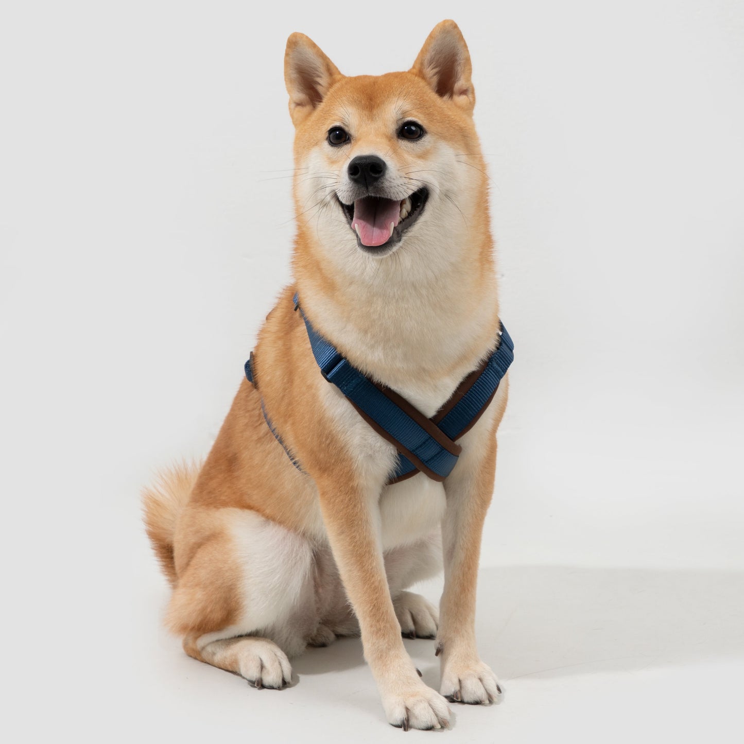 BOBO Series Leather X-shape Dog Harness [Cloud Mountain Blue]