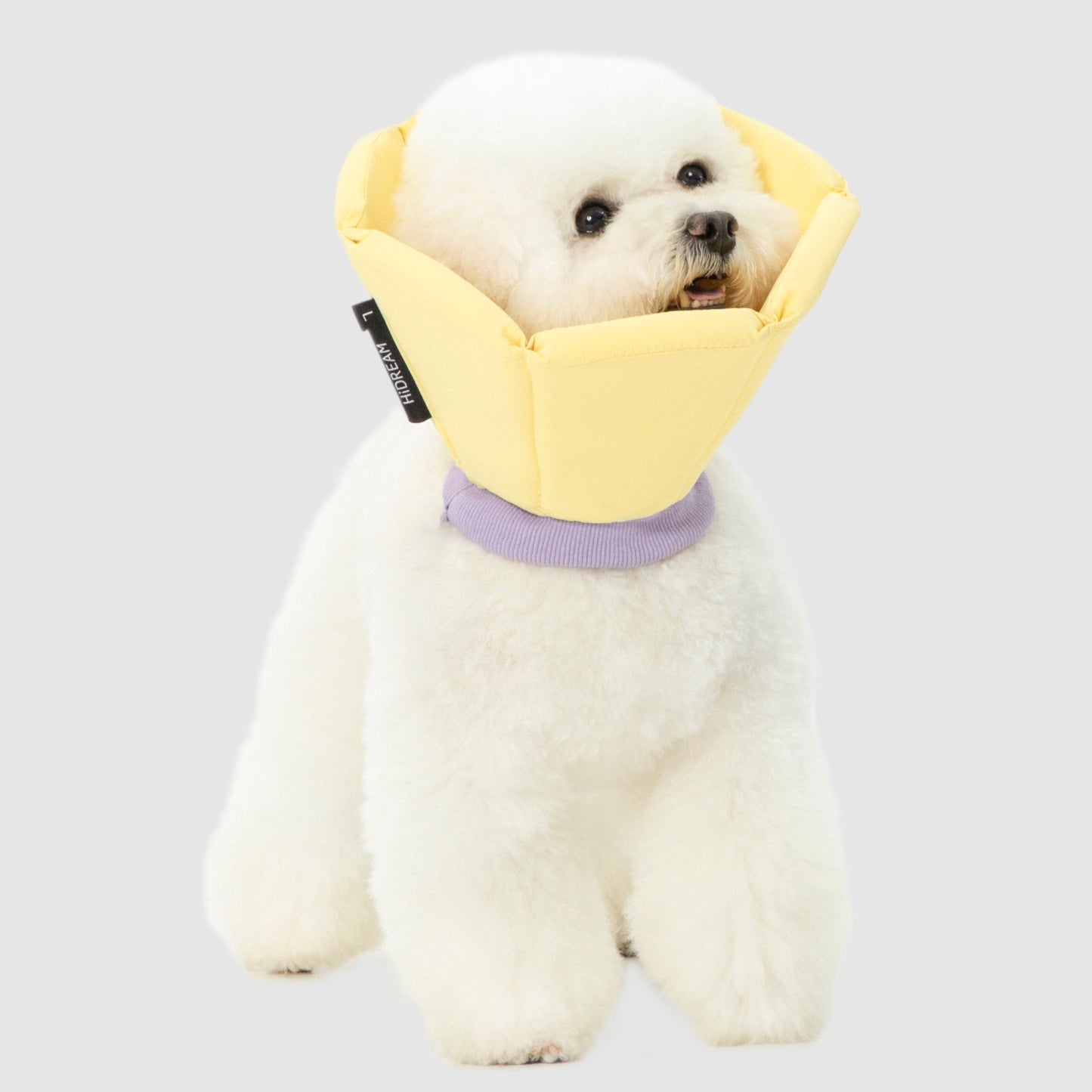 Soft Tapered Elizabethan Rings Dog & Cat Recovery Collar [Cheese Yellow]