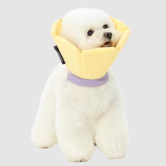 Soft Tapered Elizabethan Rings Dog & Cat Recovery Collar [Cheese Yellow]