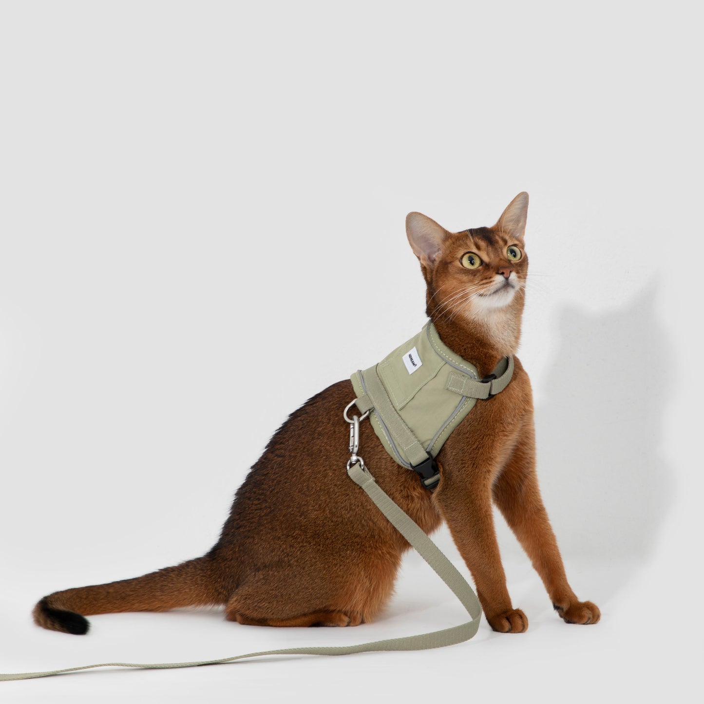 Valley Series Vest-Style Cat Harness and Leash Set [Olive Green]