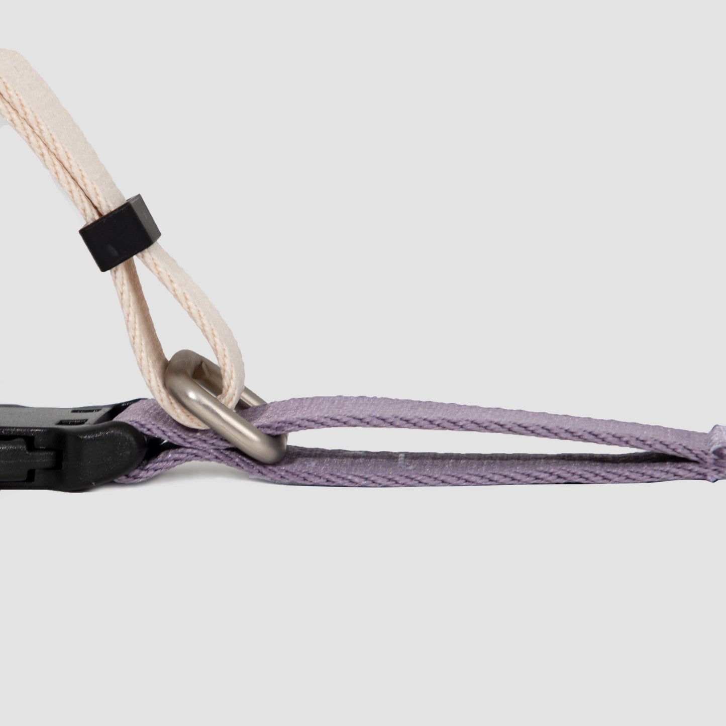 Valley Series Dog Half P-chain Training Collar [Milk Purple]