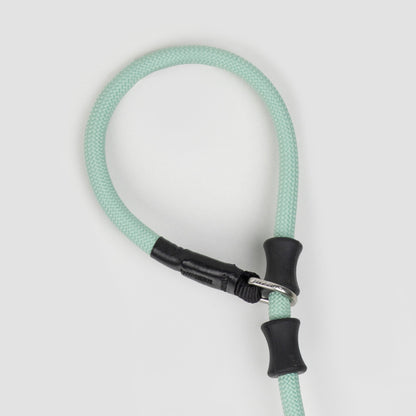 BOBO Series Leather Handle Integrated One Piece Dog Training P Rope [Spruce Green]