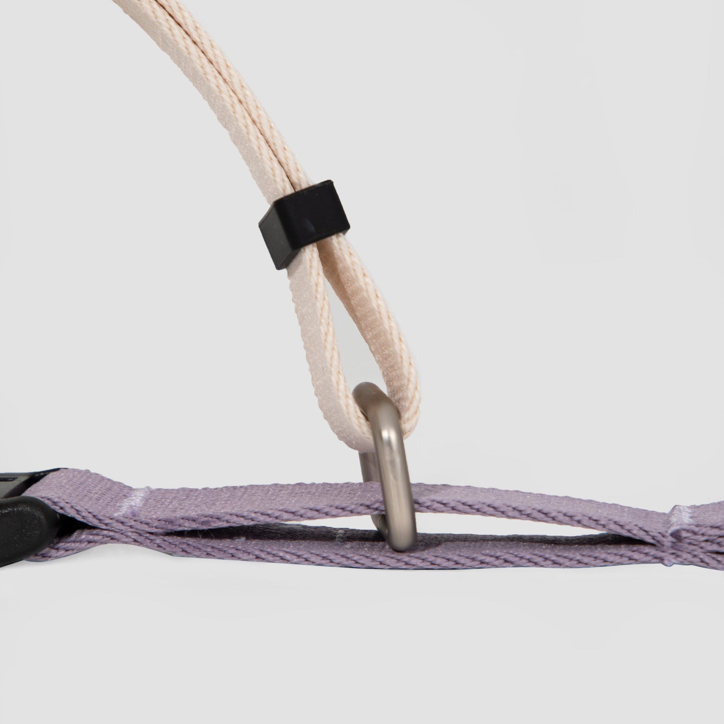 Valley Series Dog Half P-chain Training Collar [Milk Purple]