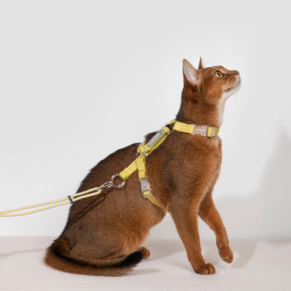 BOBO Series Freedom Exploration Cat H-Shape Harness and Leash Set [Pomelo Yellow]