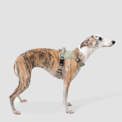 Valley Series Quick Fit No-Pull Dog Harness [Olive Green]