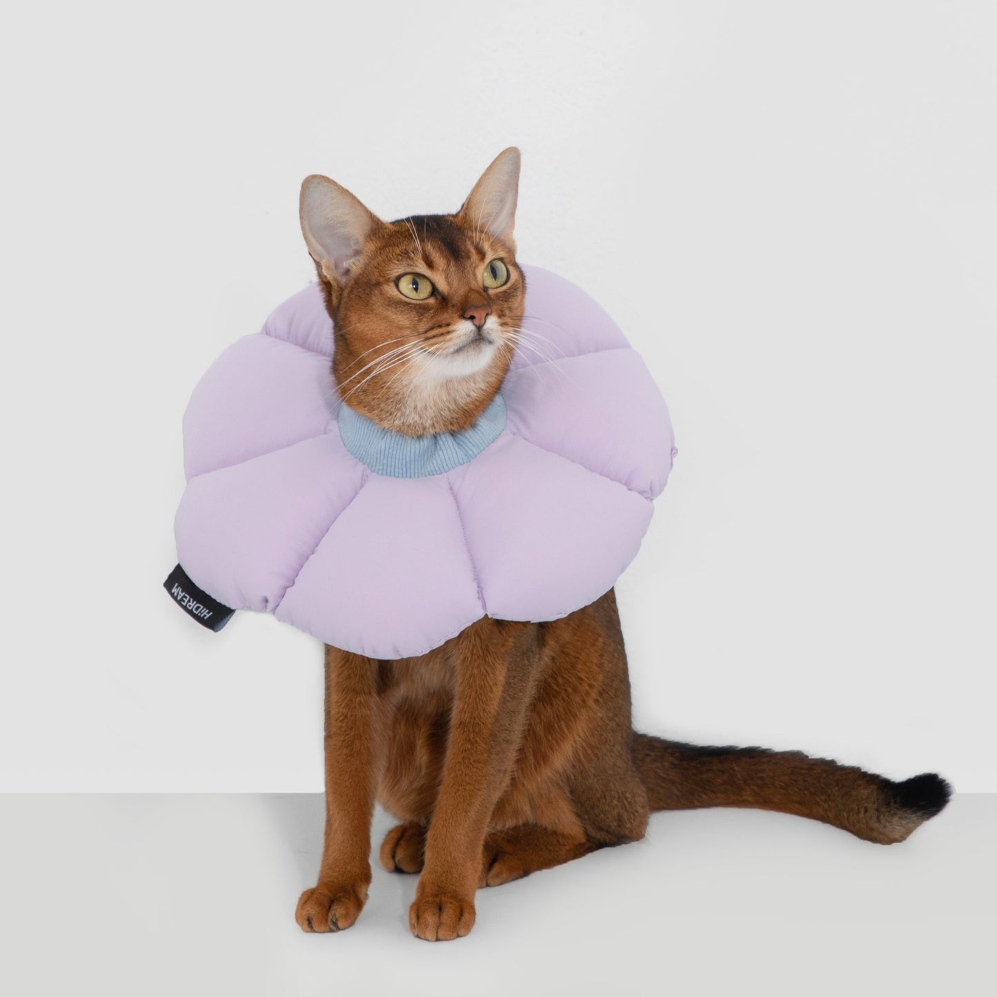 Flower Shaped Elizabethan Rings Dog & Cat Recovery Collar [Vine purple]