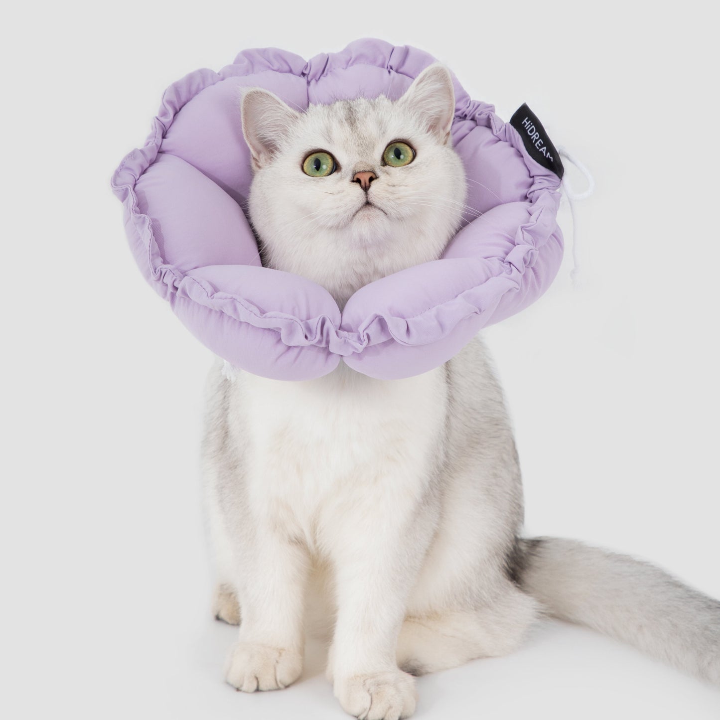 Flower Shaped Elizabeth Collar for Dog & Cat [Wisteria Purple]