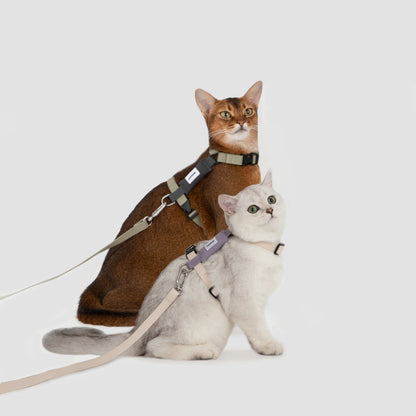 Valley Series Cat H-Shape Harness and Leash Set [Green with Gray]