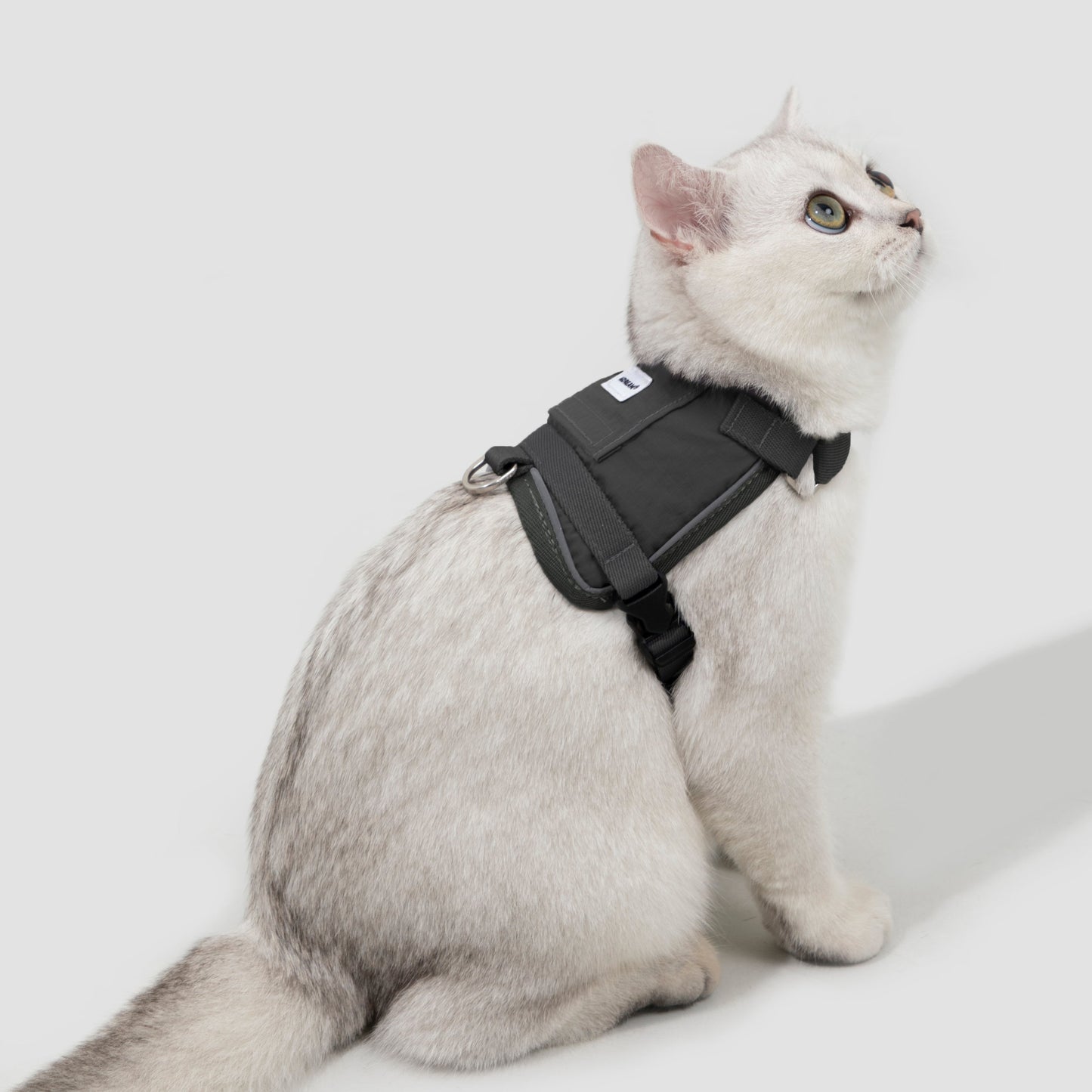 Valley Series Vest-Style Cat Harness and Leash Set [Buckwheat Gray]