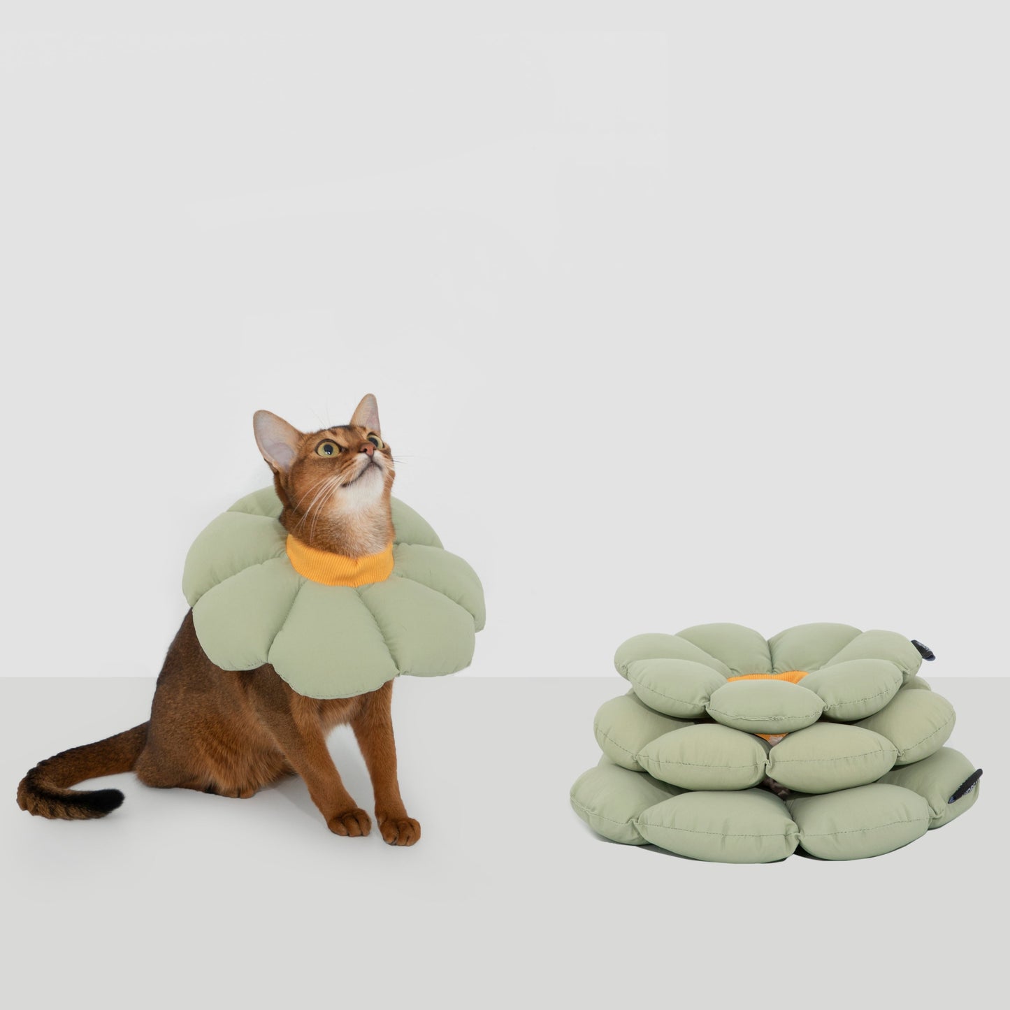 Flower Shaped Elizabethan Rings Dog & Cat Recovery Collar [Wasong Green]