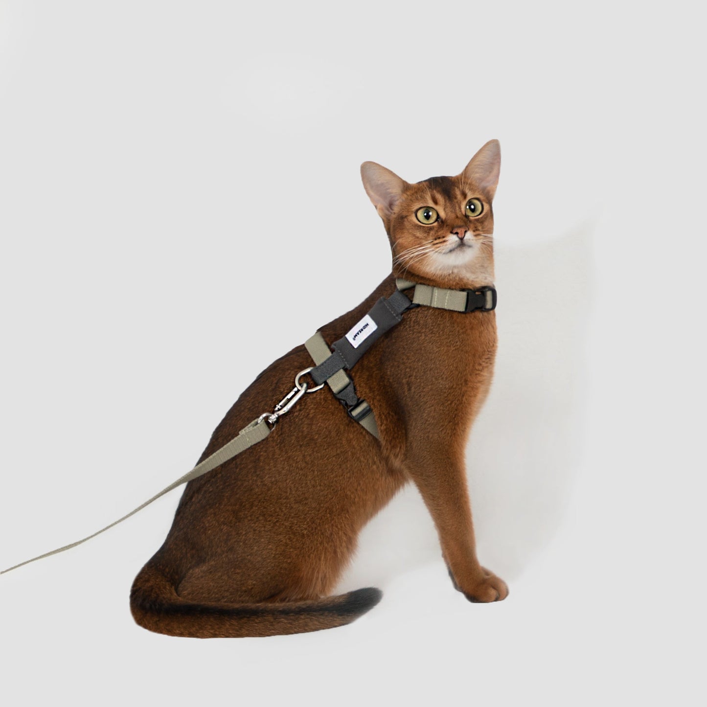 Valley Series Cat H-Shape Harness and Leash Set [Green with Gray]