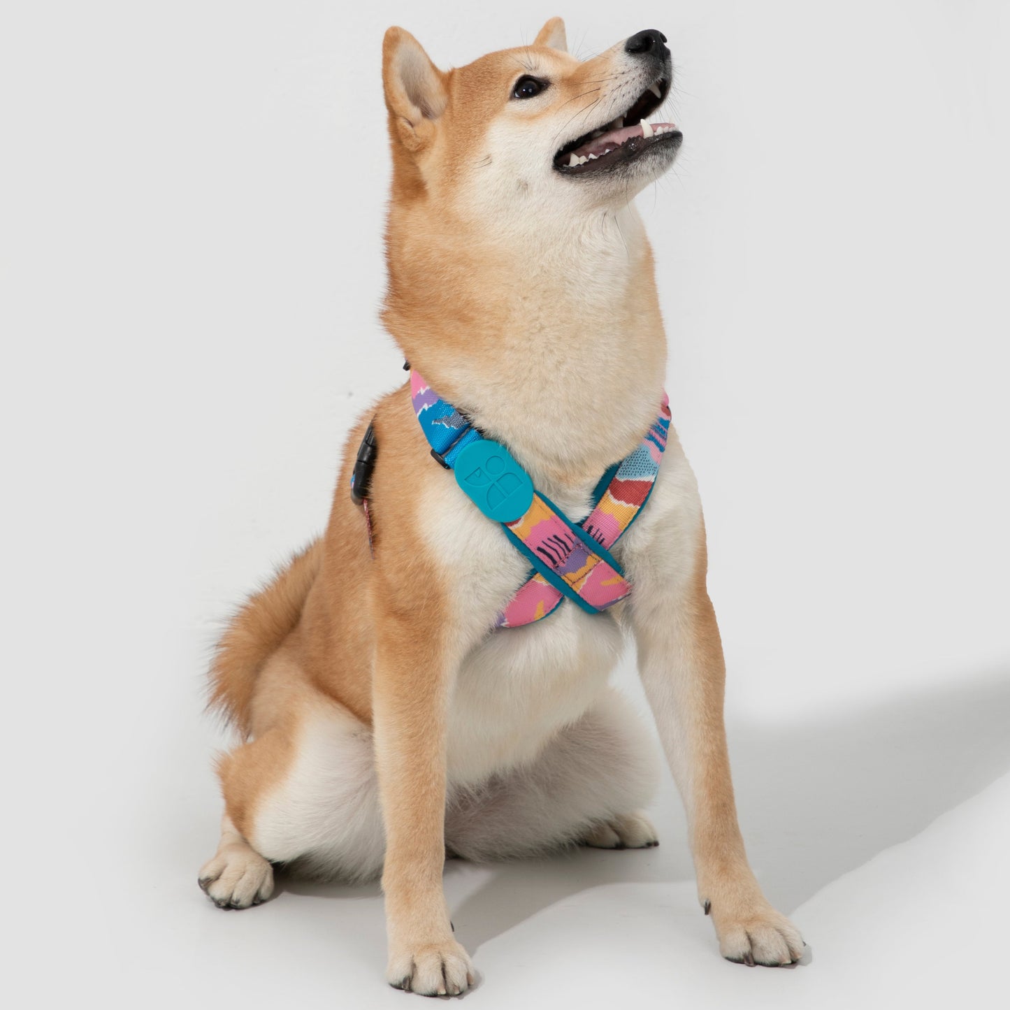 Colorful PRO Series X Harness [Mountain and River Impressions]