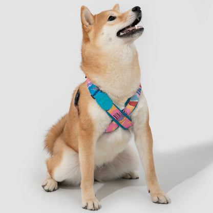 Colorful PRO Series X Harness [Mountain and River Impressions]