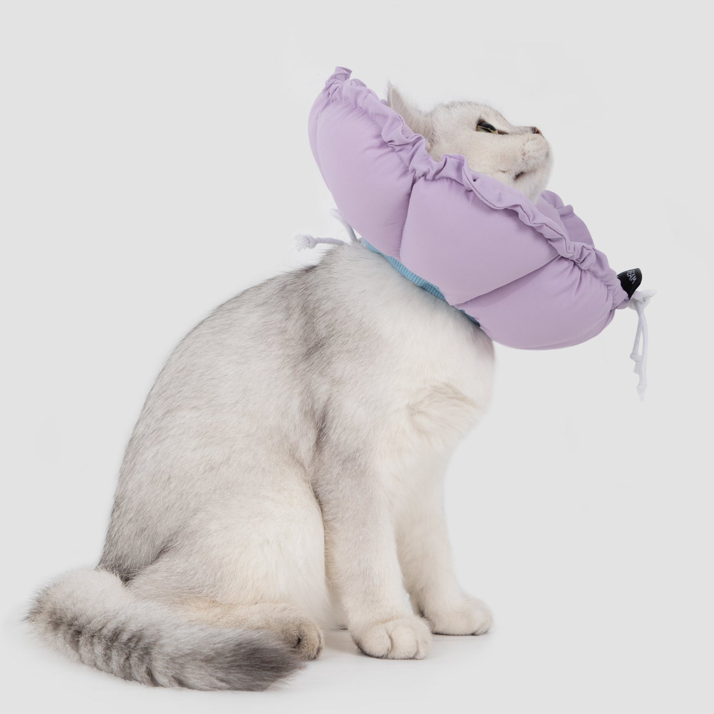 Flower Shaped Elizabeth Collar for Dog & Cat [Wisteria Purple]