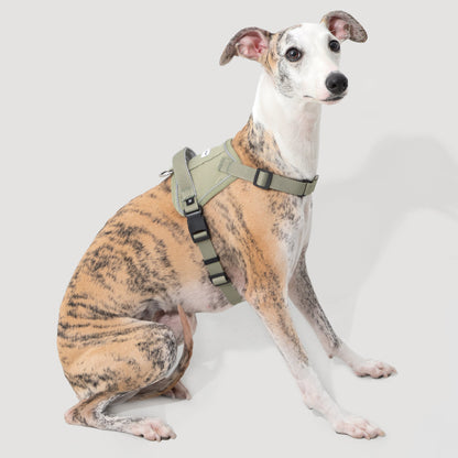 Valley Series Quick Fit No-Pull Dog Harness [Olive Green]