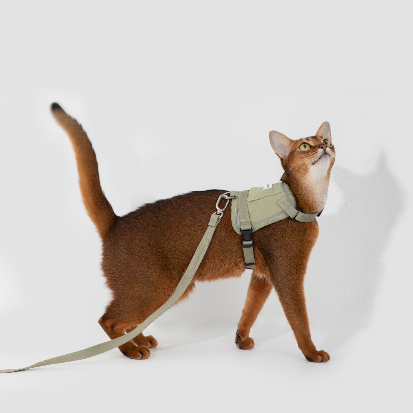 Valley Series Vest-Style Cat Harness and Leash Set [Olive Green]