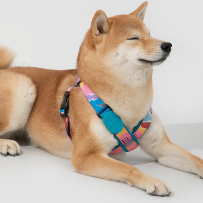 Colorful PRO Series X Harness [Mountain and River Impressions]