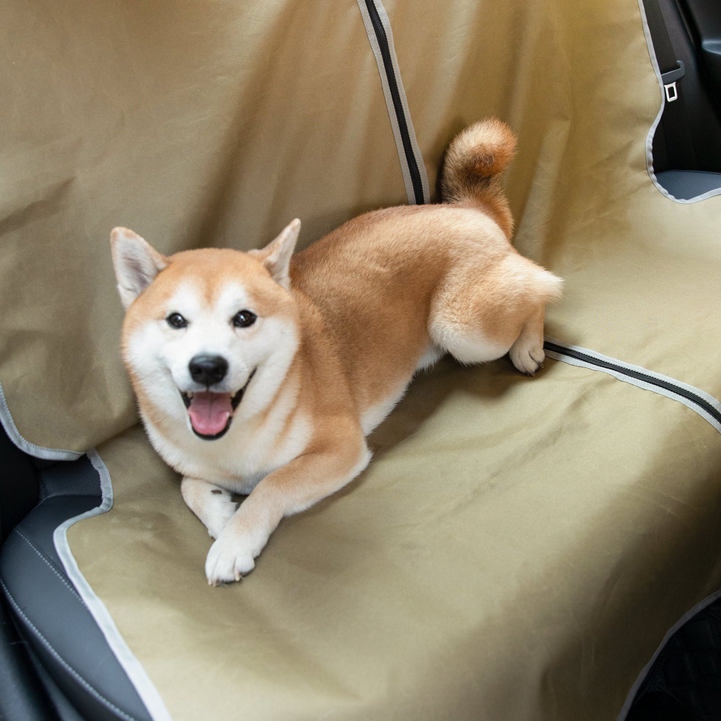 🚗 Multi-Functional Pet Car Seat Cover [Mossy Brown]