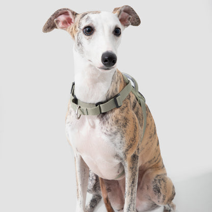 Valley Series Quick Fit No-Pull Dog Harness [Olive Green]
