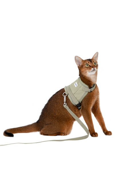 Valley Series Vest-Style Cat Harness and Leash Set [Olive Green]