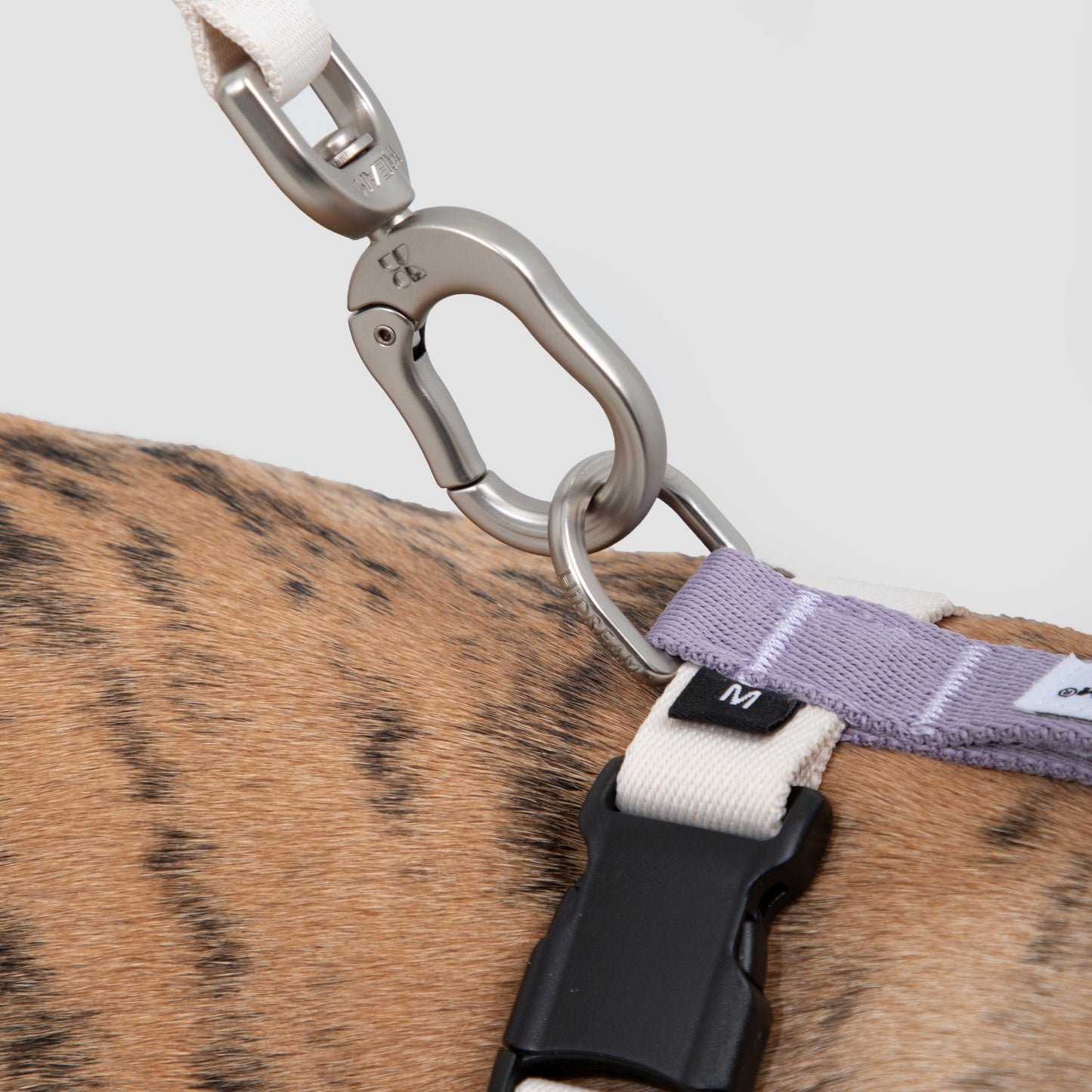 Valley Series Dog H-shaped Harness & Leash Set [Milk Brown with Purple]