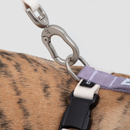 Valley Series Dog H-shaped Harness & Leash Set [Milk Brown with Purple]
