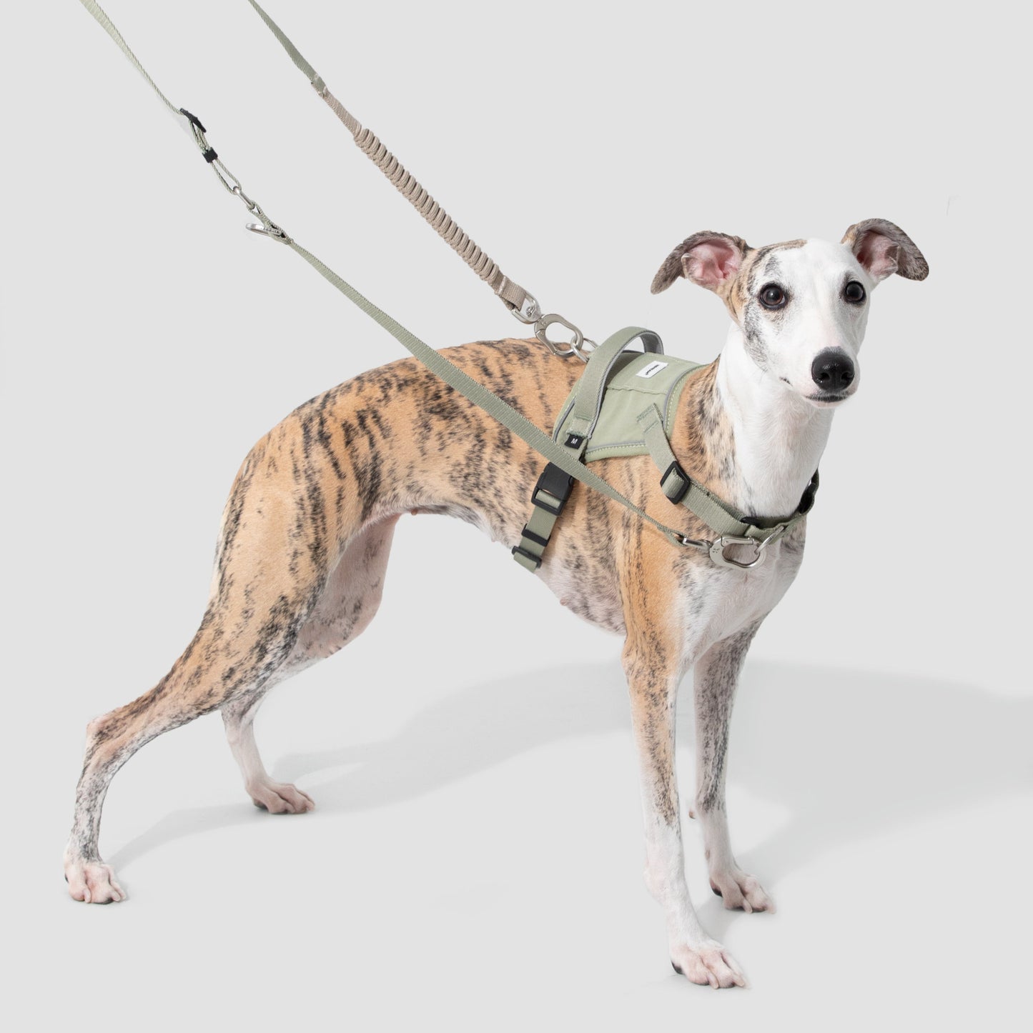 Valley Series Quick Fit No-Pull Dog Harness [Olive Green]
