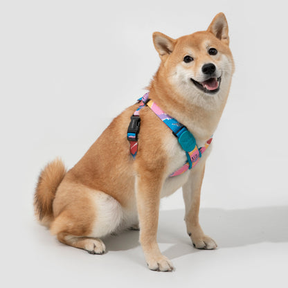 Colorful PRO Series X Harness [Mountain and River Impressions]