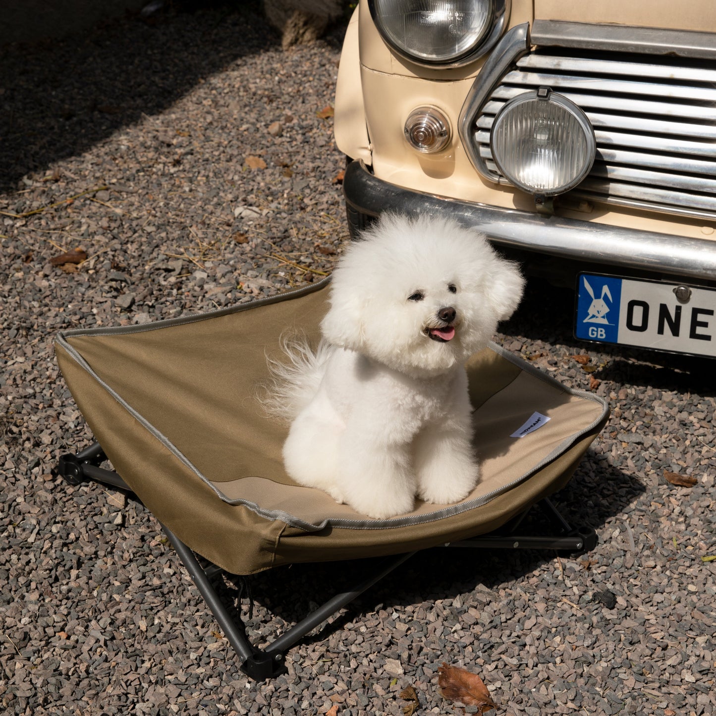 🐾 Portable Multi-Functional Camping Pet Bed [Mossy Brown]
